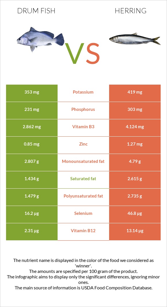 Drum fish vs Herring infographic