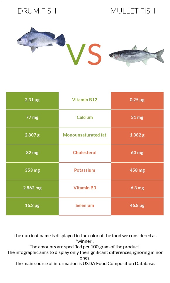 Drum fish vs Mullet fish infographic