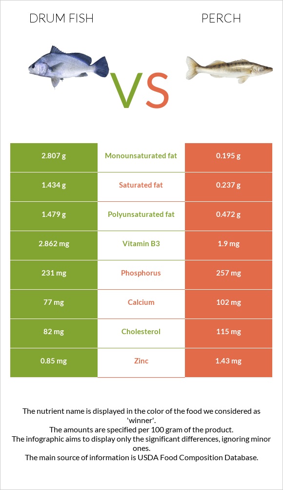 Drum fish vs Perch infographic