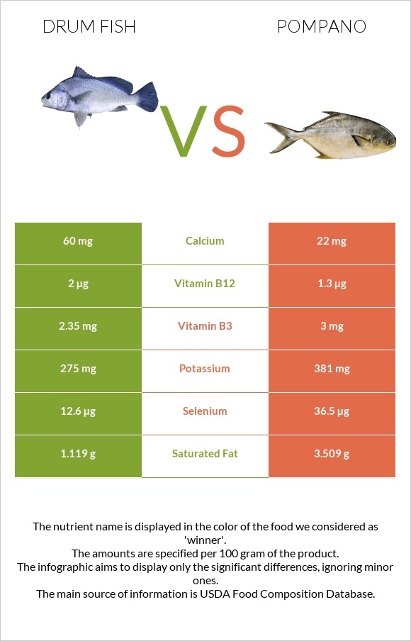 Drum fish vs Pompano infographic