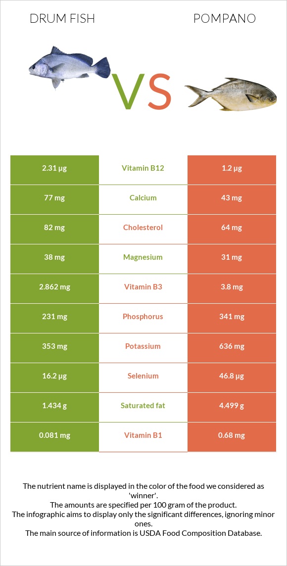 Drum fish vs Pompano infographic