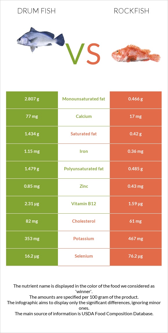 Drum fish vs Rockfish infographic