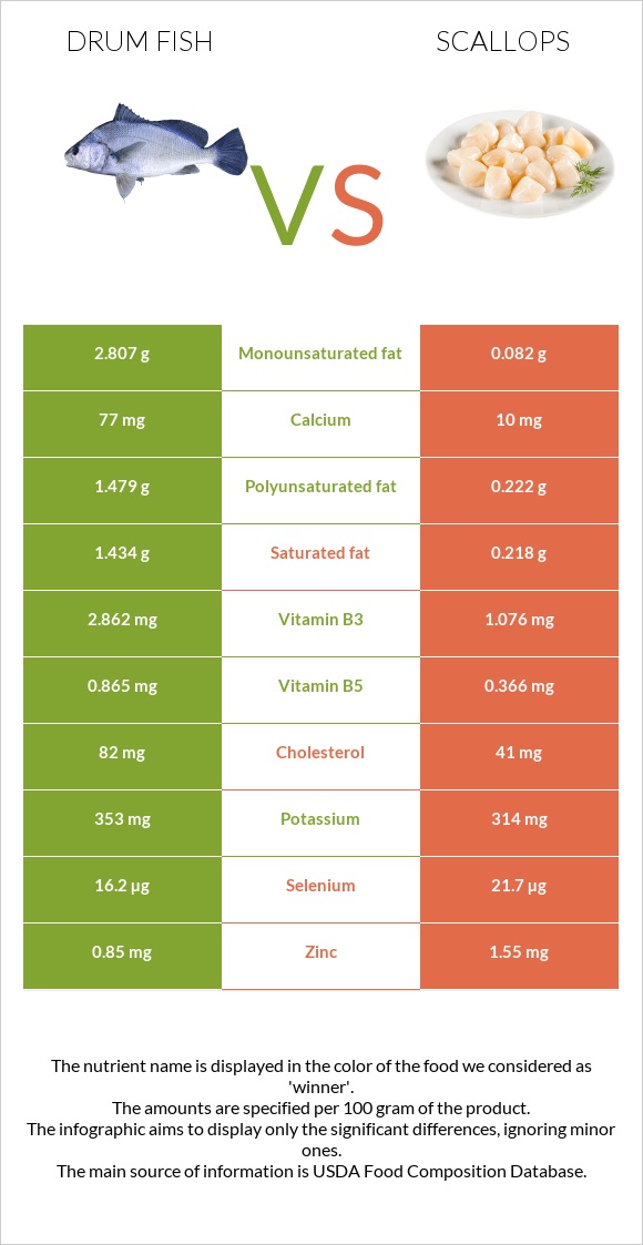 Drum fish vs Scallop infographic