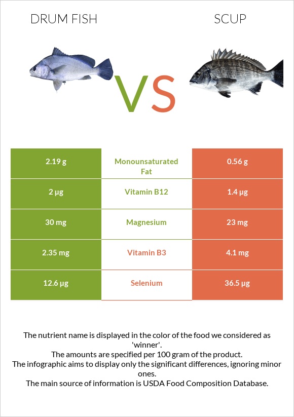 Drum fish vs Scup infographic