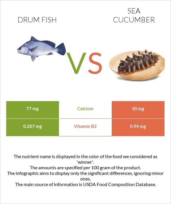 Drum fish vs Sea cucumber infographic