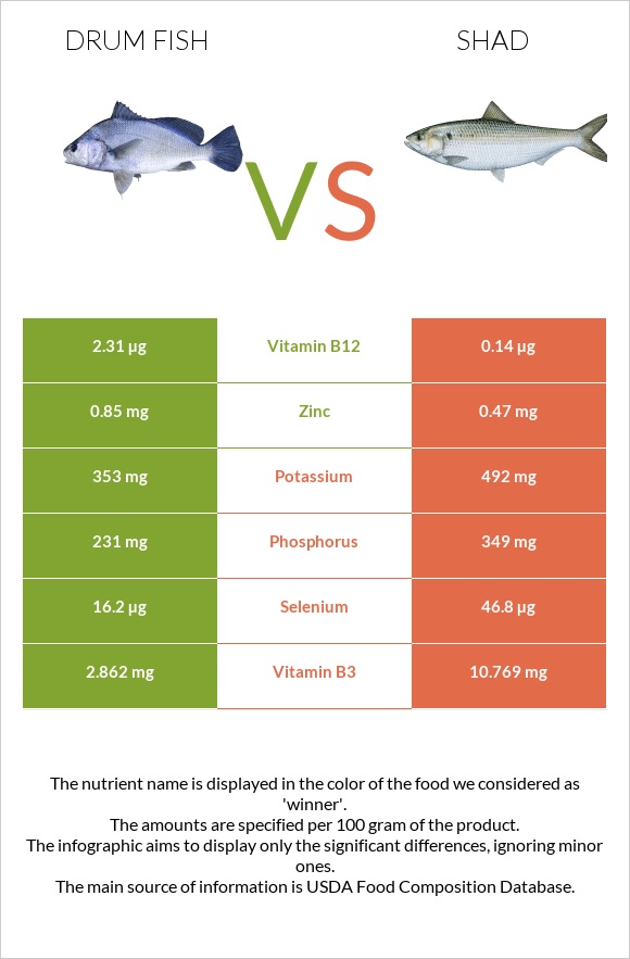 Drum fish vs Shad infographic