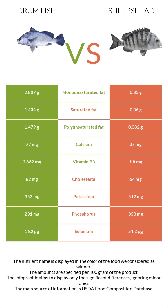 Drum fish vs Sheepshead infographic