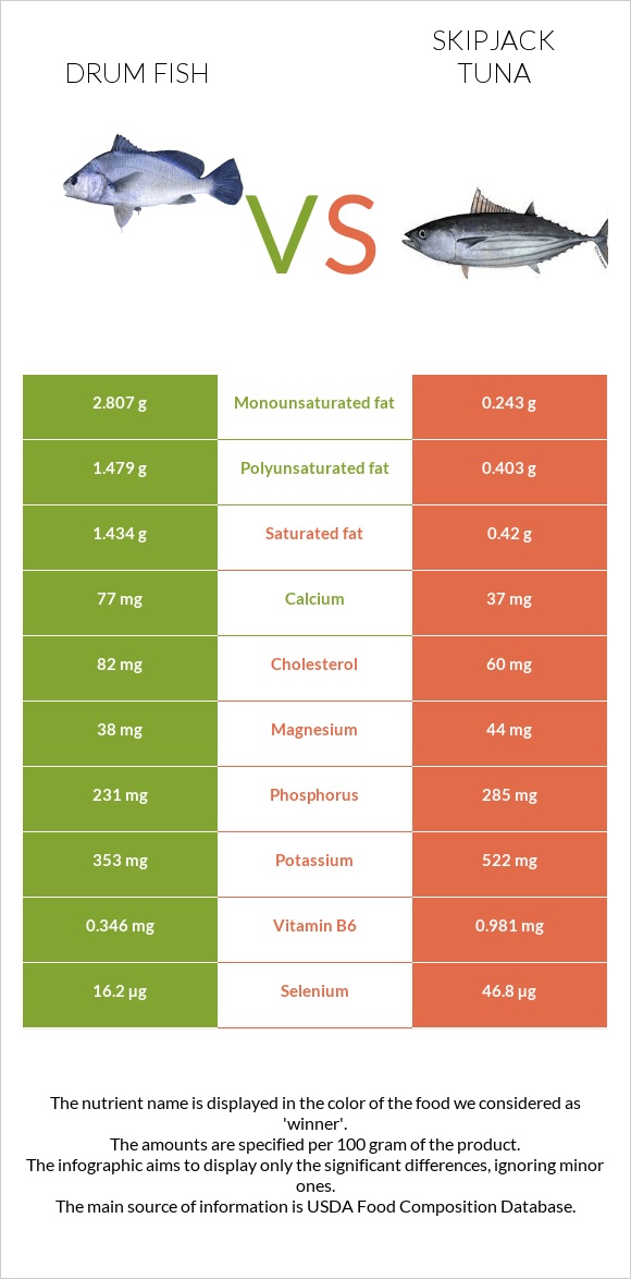 Drum fish vs Գծավոր թունա infographic