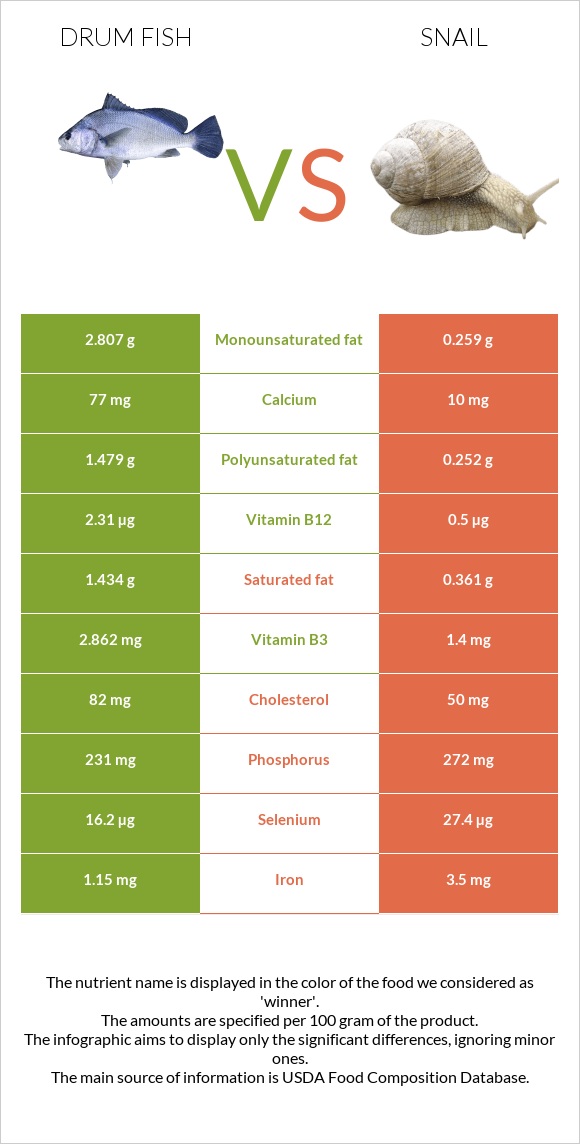 Drum fish vs Snail infographic