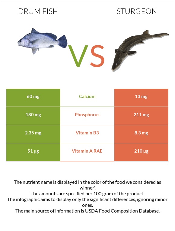 Drum fish vs Sturgeon infographic