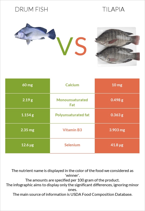 Drum fish vs Tilapia infographic