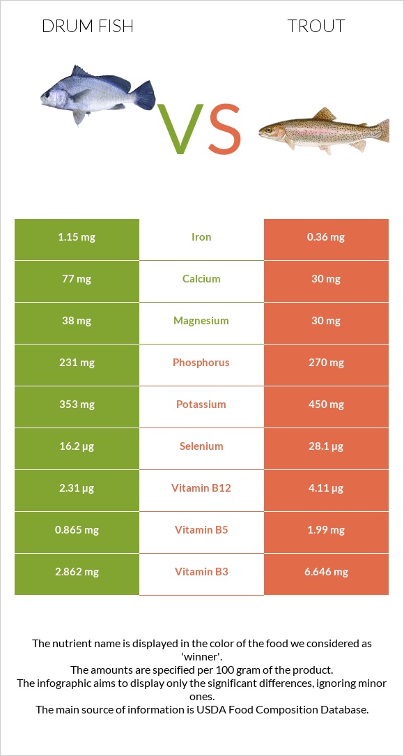 Drum fish vs Trout infographic