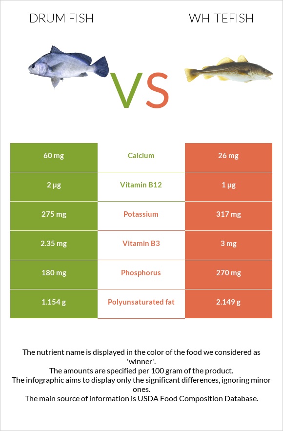 Drum fish vs Whitefish infographic