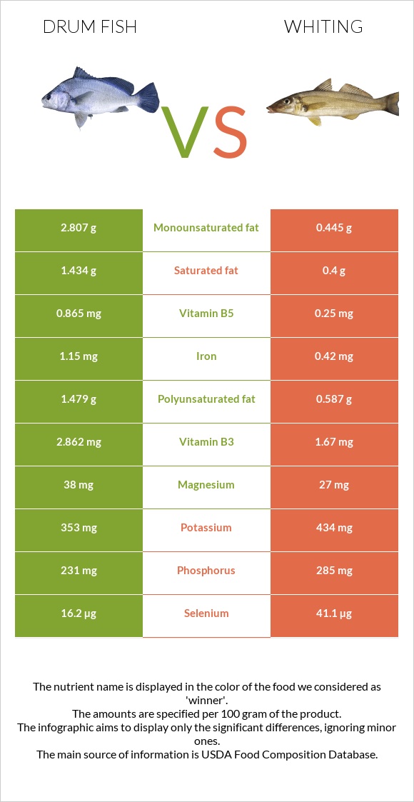 Drum fish vs Whiting infographic