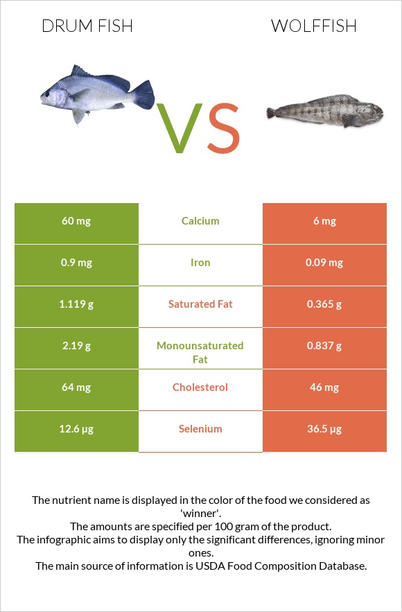 Drum fish vs Wolffish infographic