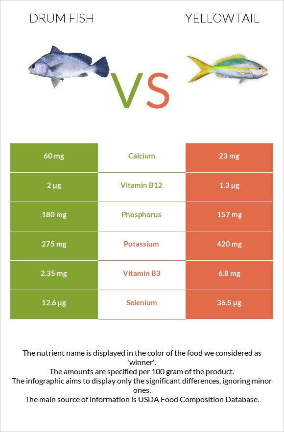 Drum fish vs Yellowtail infographic