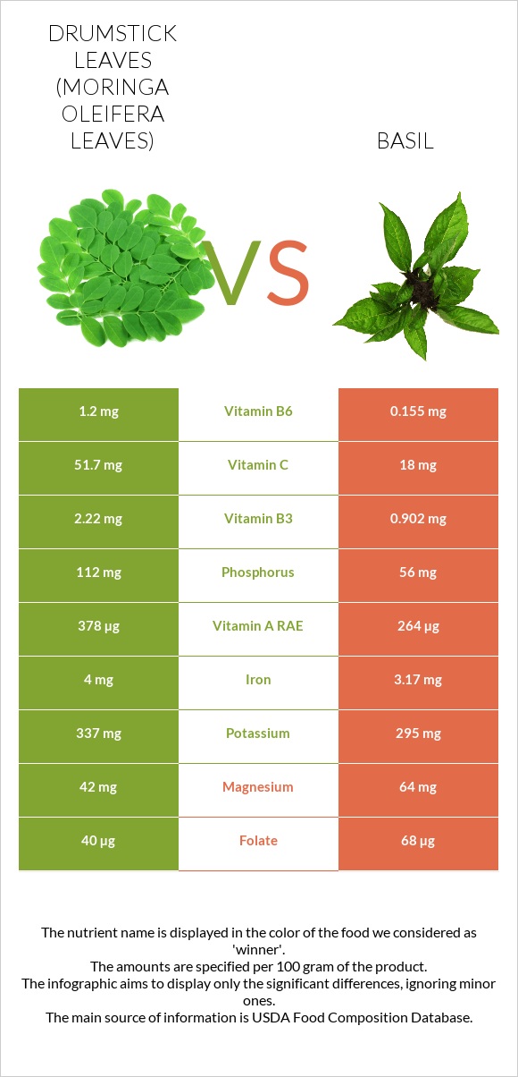 Drumstick leaves vs Basil infographic