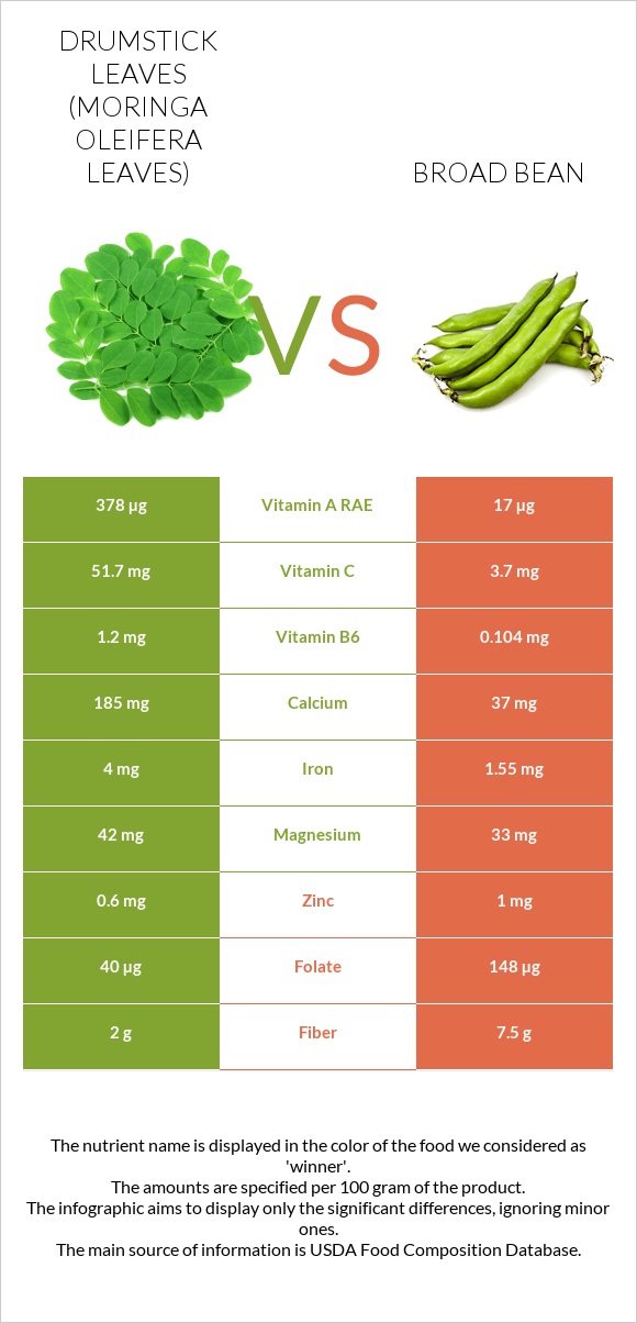 Drumstick leaves vs Broad bean infographic