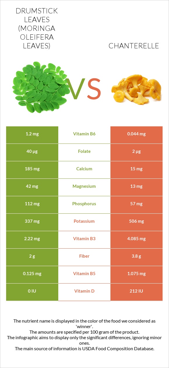 Drumstick leaves vs Chanterelle infographic