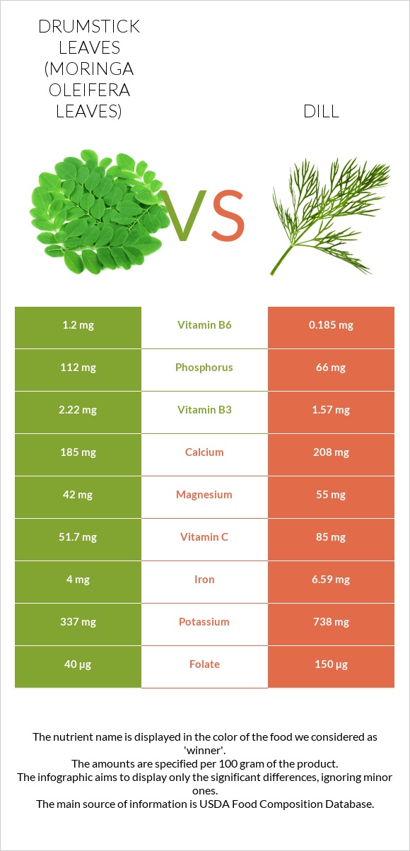 Drumstick leaves vs Dill infographic