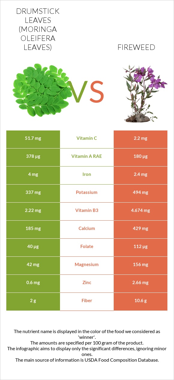 Drumstick leaves vs Fireweed infographic