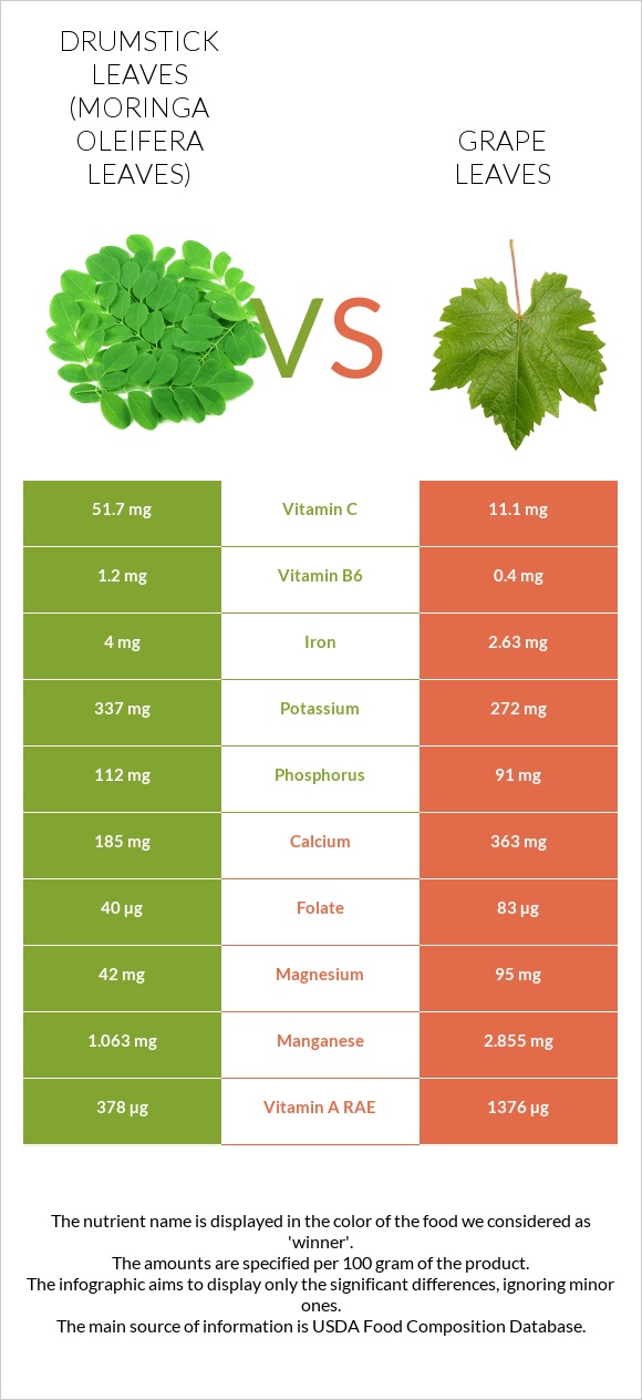 Drumstick leaves vs Grape leaves infographic