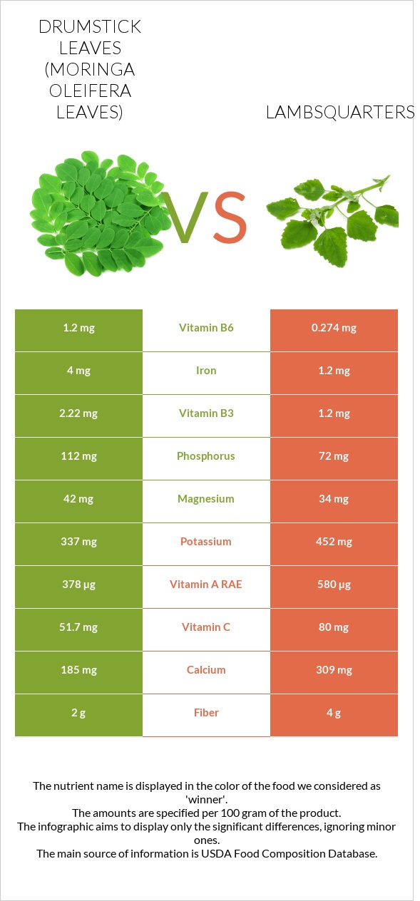 Drumstick leaves vs Lambsquarters infographic