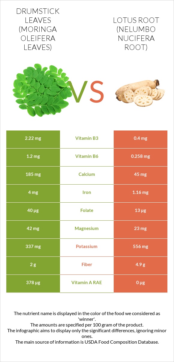 Drumstick leaves vs Lotus root infographic