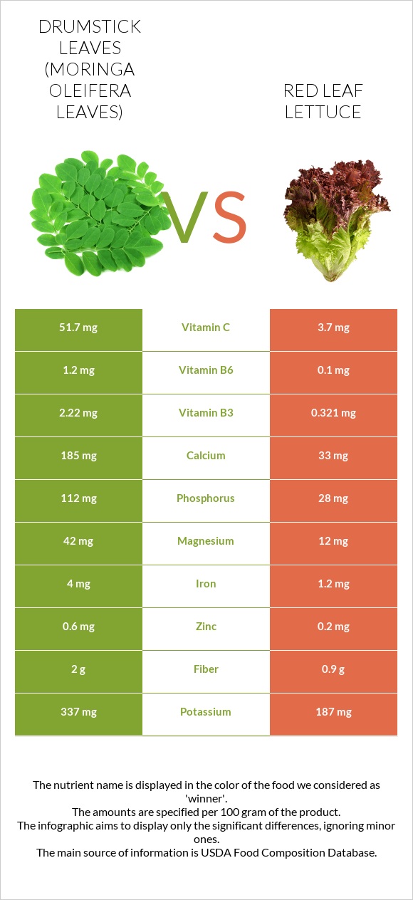 Drumstick leaves vs Red leaf lettuce infographic