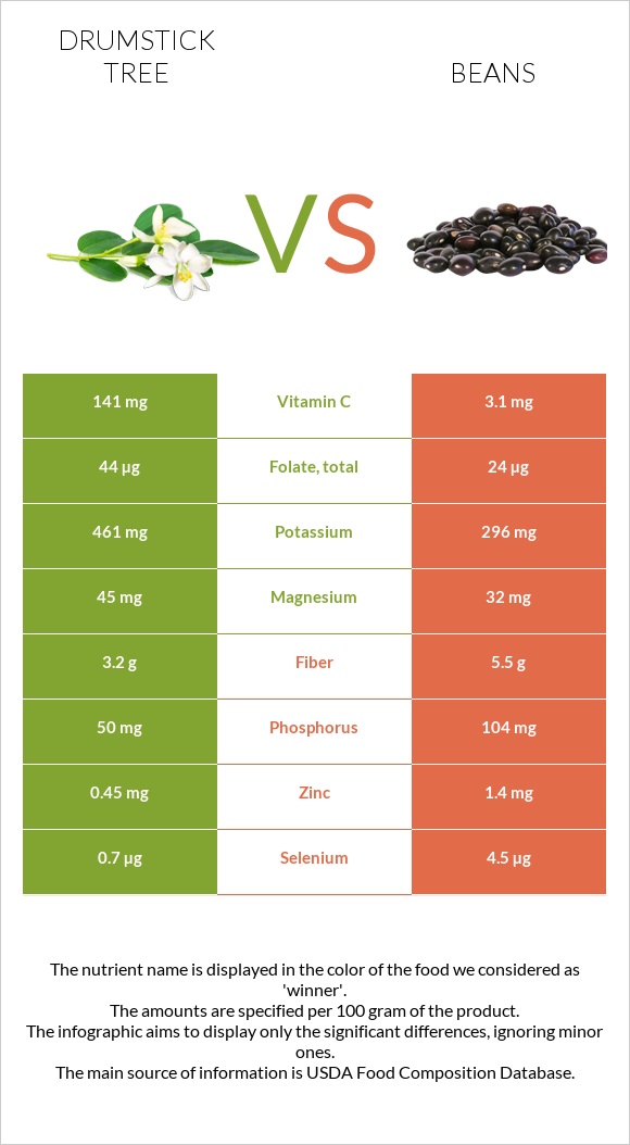 Drumstick tree vs Լոբի պինտո infographic