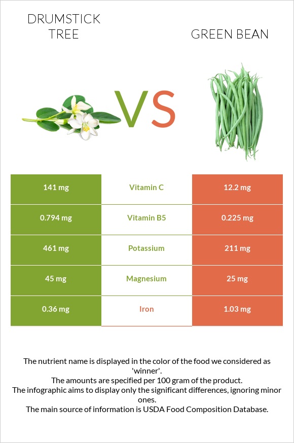 Drumstick tree vs Green bean infographic