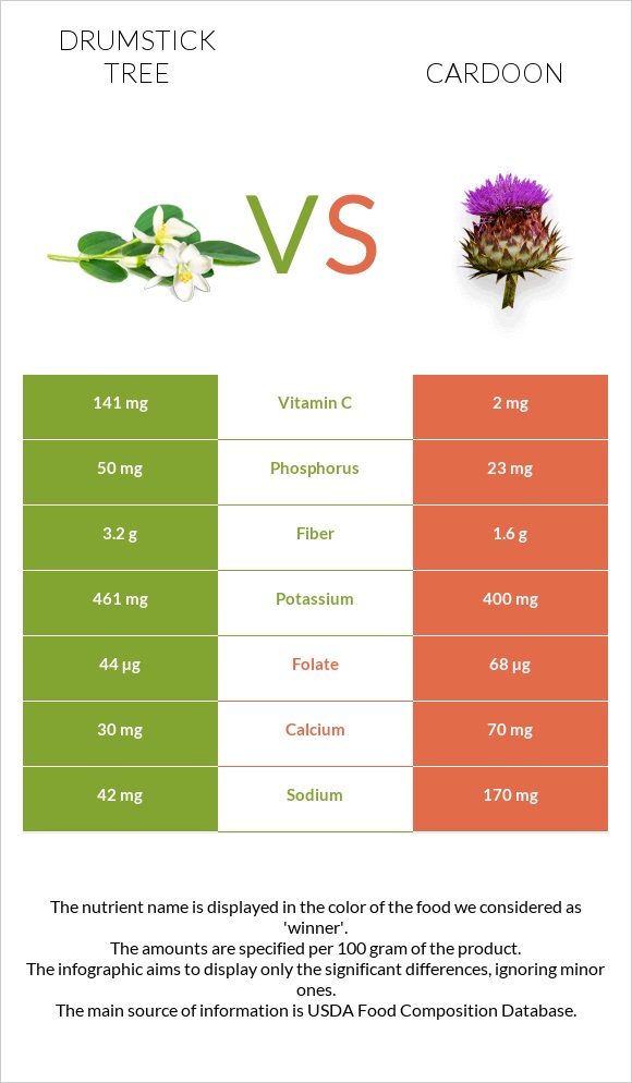 Drumstick tree vs Cardoon infographic
