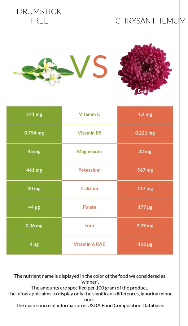 Drumstick tree vs Chrysanthemum infographic