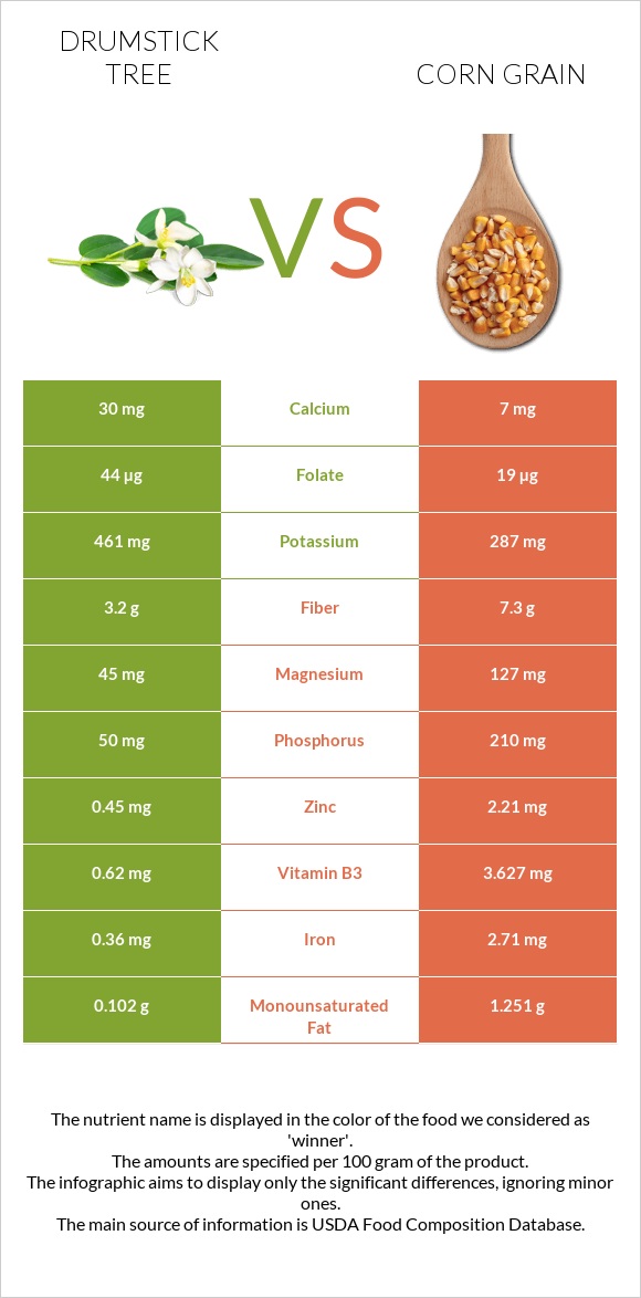 Drumstick tree vs Corn grain infographic