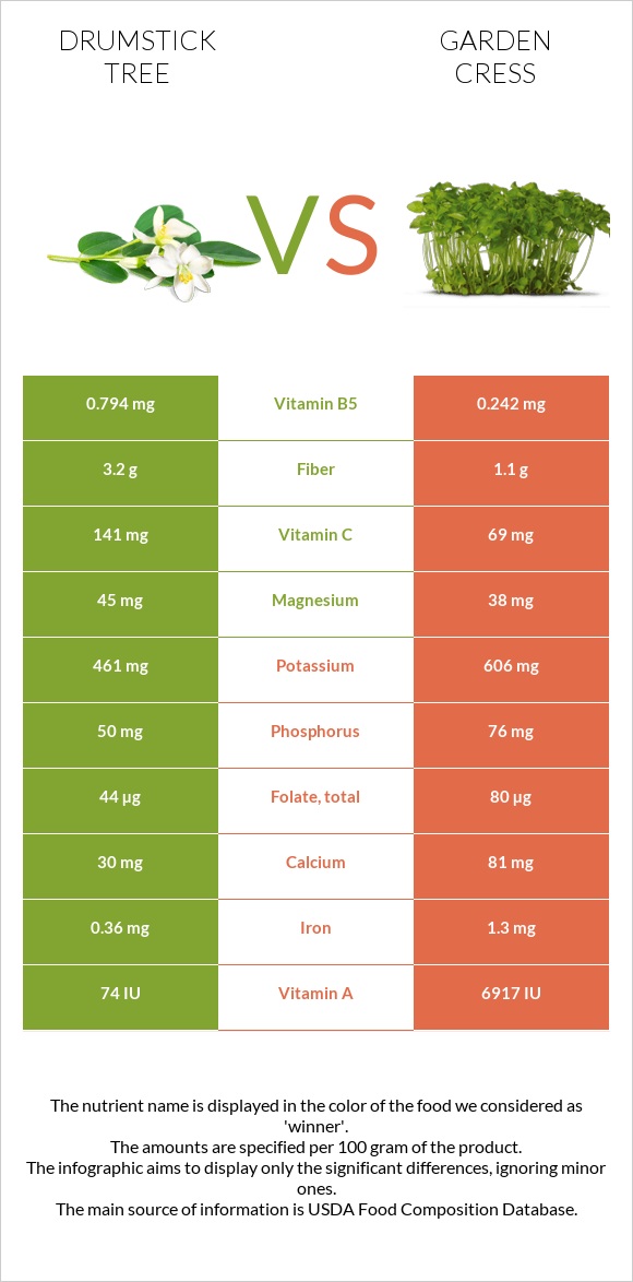 Drumstick tree vs Garden cress infographic