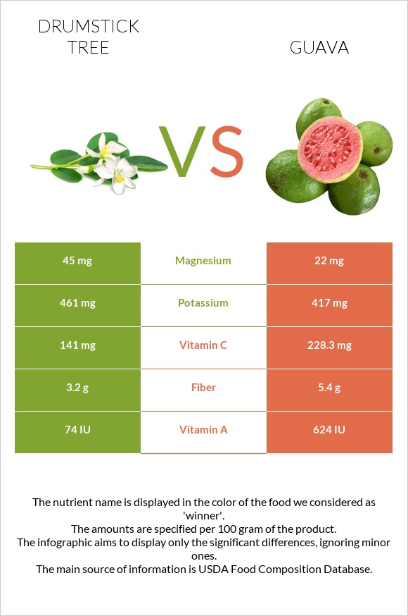 Drumstick tree vs Guava infographic