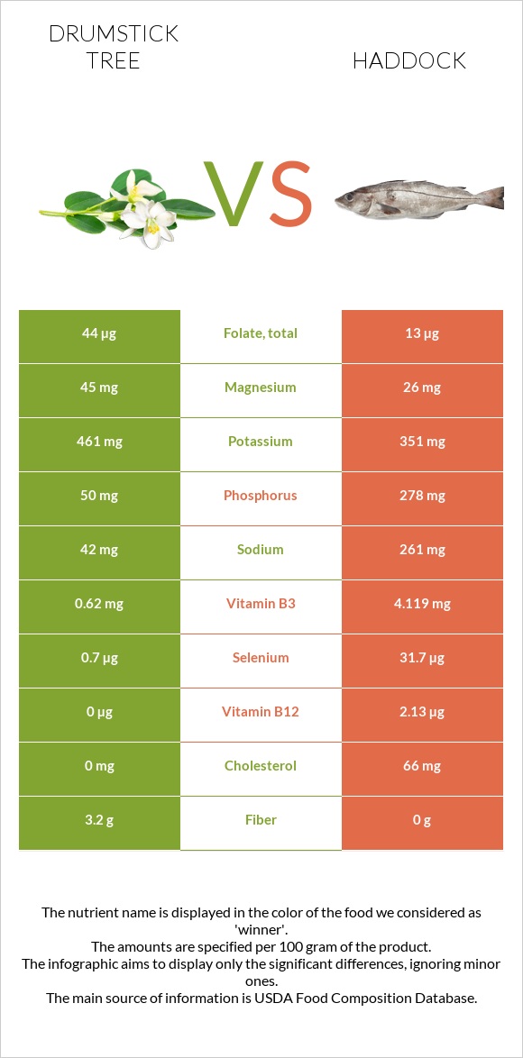 Drumstick tree vs Haddock infographic