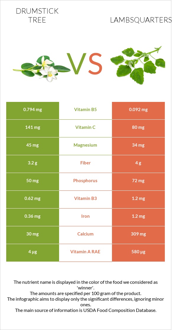Drumstick tree vs Lambsquarters infographic