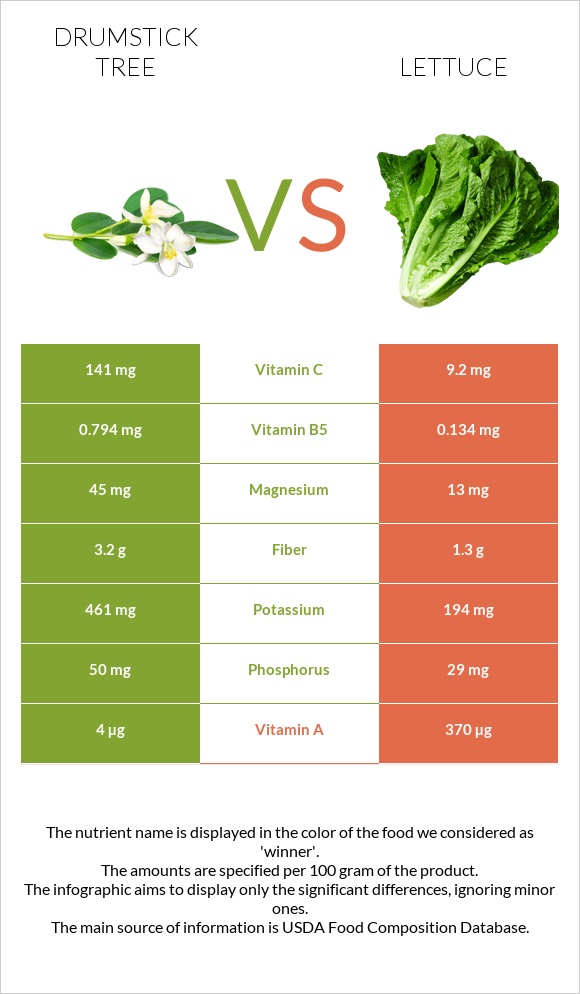 Drumstick tree vs Lettuce infographic