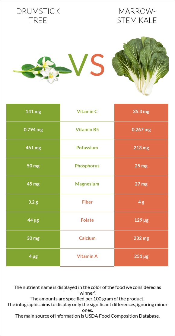 Drumstick tree vs Marrow-stem Kale infographic