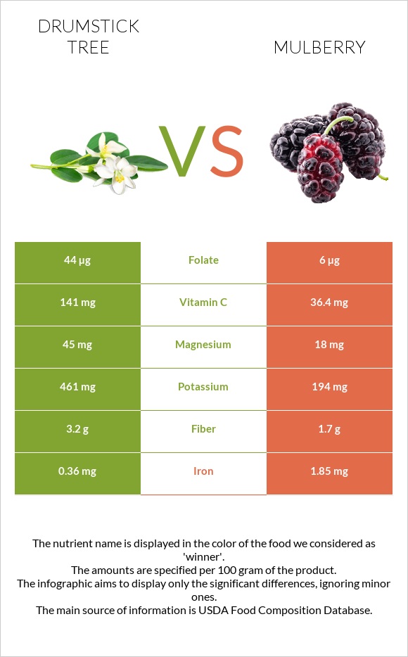 Drumstick tree vs Mulberry infographic