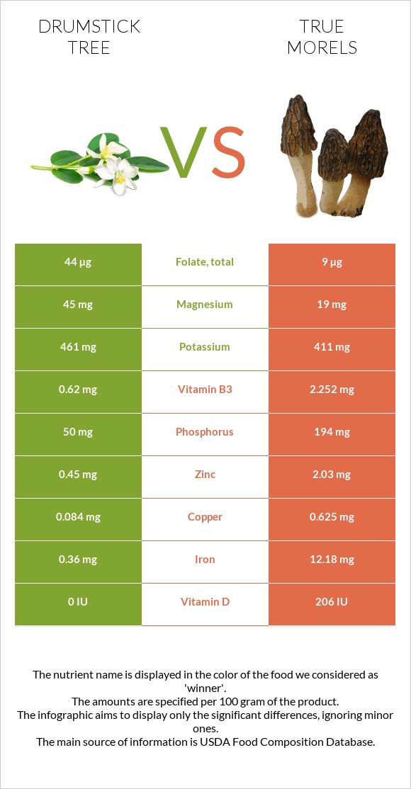 Drumstick tree vs True morels infographic