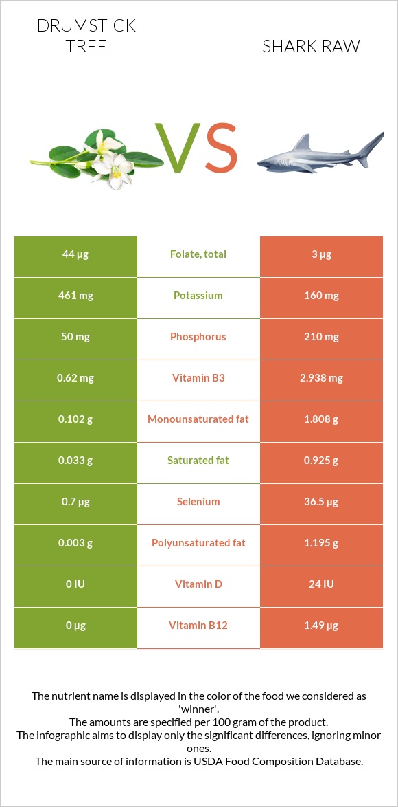 Drumstick tree vs Shark raw infographic