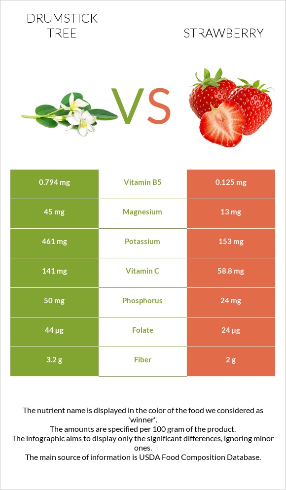 Drumstick tree vs Strawberry infographic