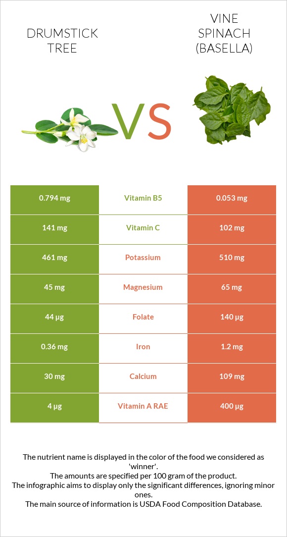 Drumstick tree vs Vine spinach (basella) infographic