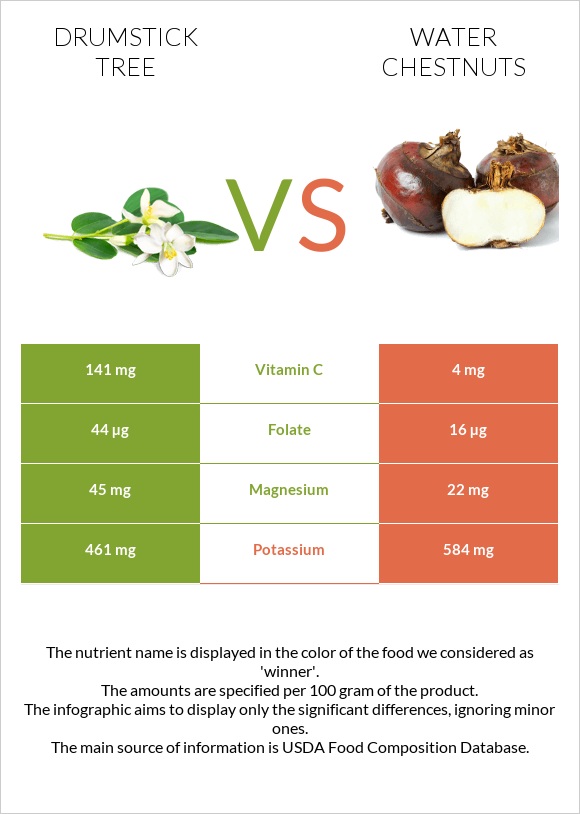 Drumstick tree vs Water chestnuts infographic