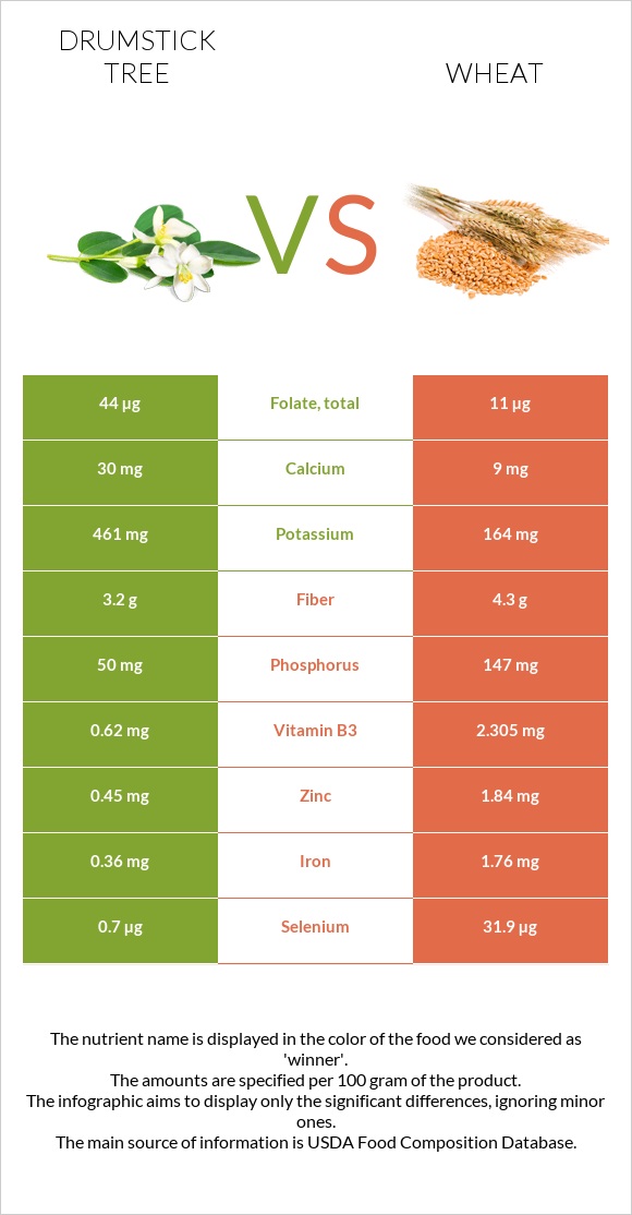 Drumstick tree vs Wheat infographic