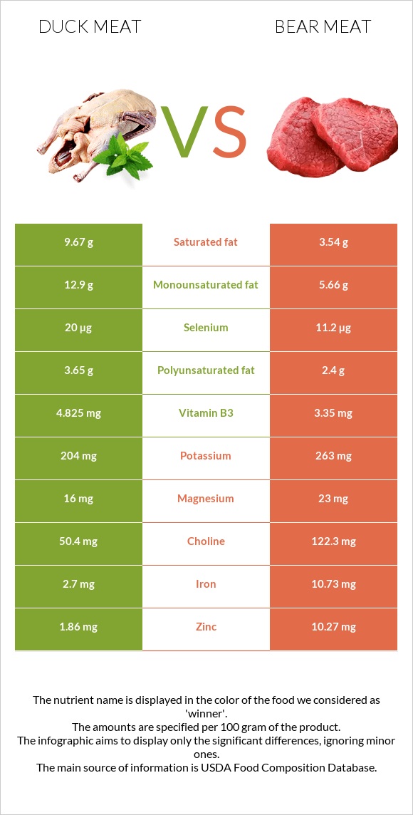 Բադի միս vs Bear meat infographic