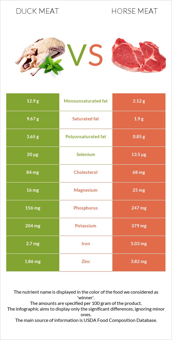 Բադի միս vs Ձիու միս infographic