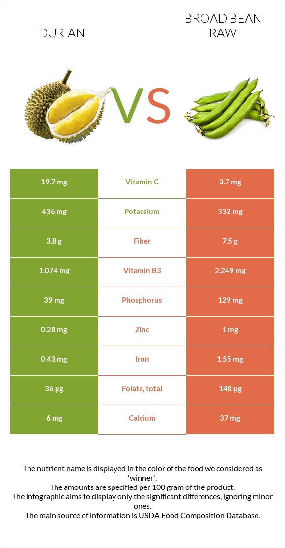 Durian vs Broad bean raw infographic